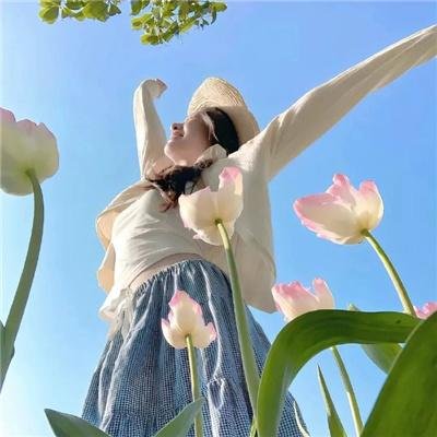 侦探奇克·卡特
